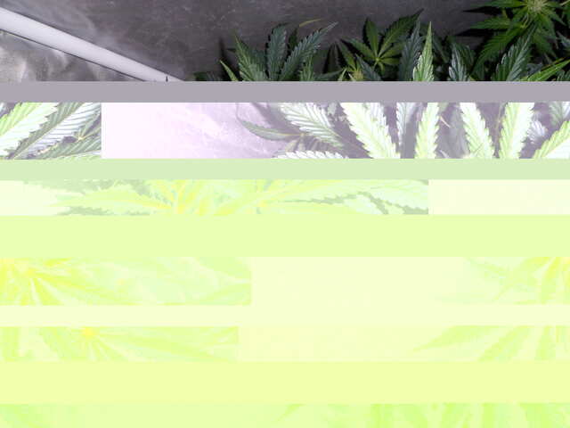 утро 32 дня six shooter