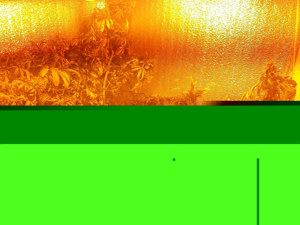 20170221_012723.jpg