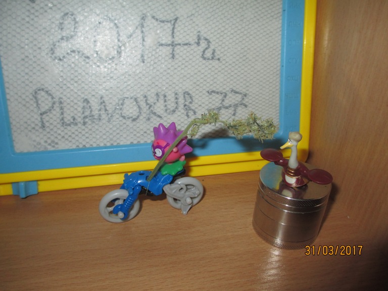 IMG_1469.JPG