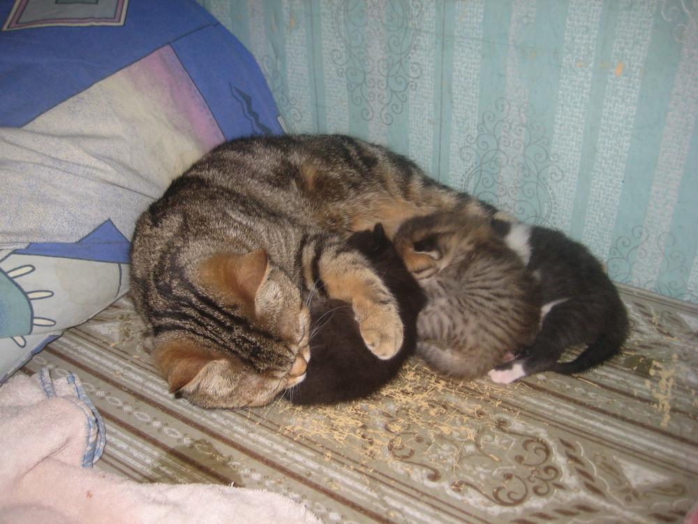 IMG_3686.JPG
