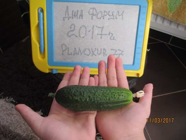УГОЩАЙТЕСЬ!!!