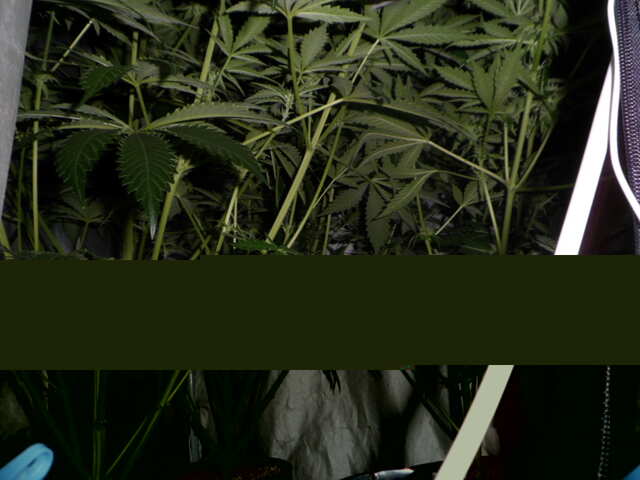 day37.SIX SHOOTER трое в доме.