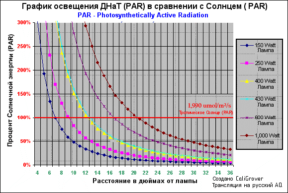 ДНаТ_против_Солнца.png