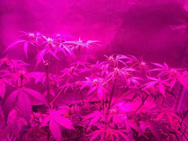 image7552.jpeg