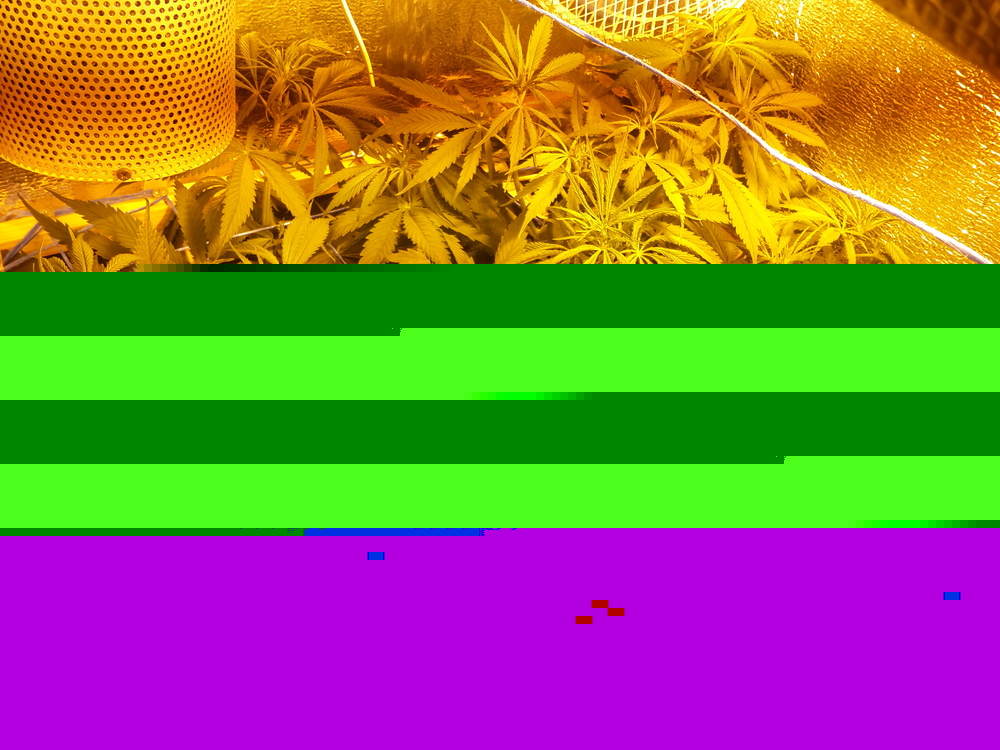 20170522_092016.jpg