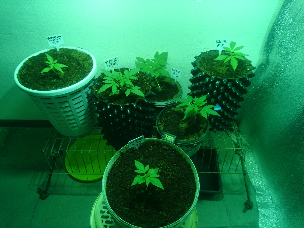 tmp_31037-DSC_03811761391998.JPG