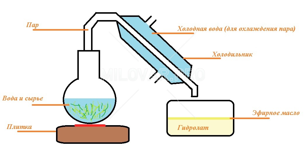 Охлаждение пара водой. Получение эфирных масел методом дистилляции. Метод перегонки с водяным паром эфирных масел. Методы производства эфирных масел дистилляция. Паровая дистилляция эфирного масла рисунок.