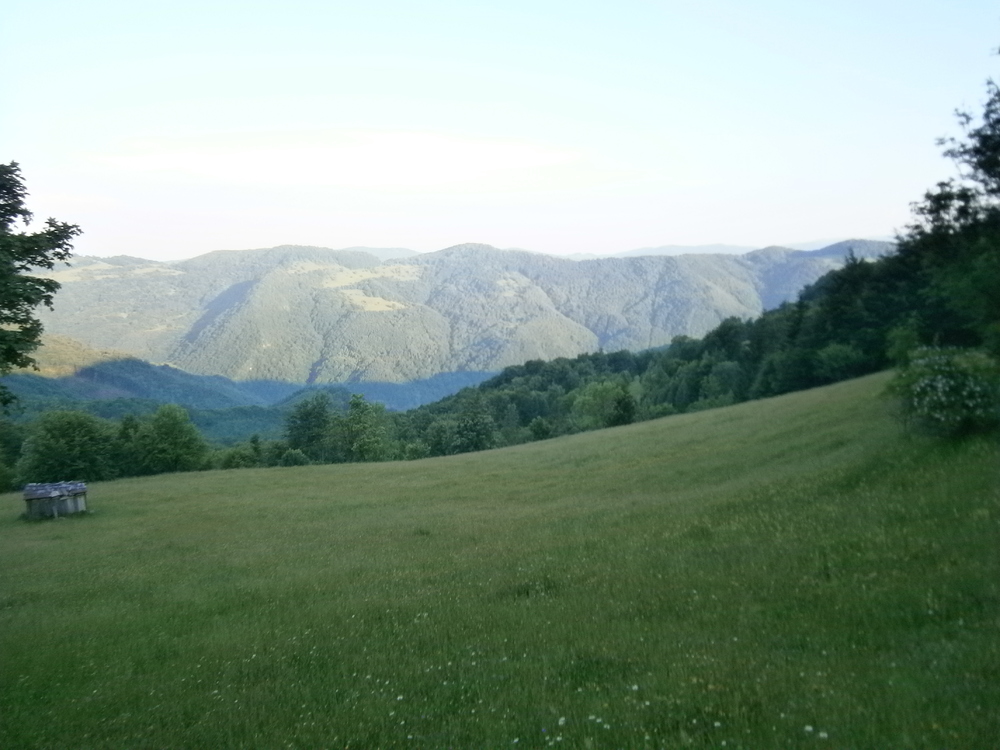 P1010125.JPG