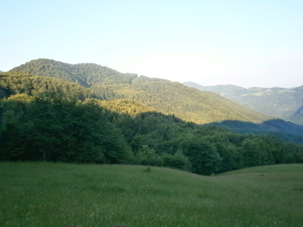 P1010127.JPG