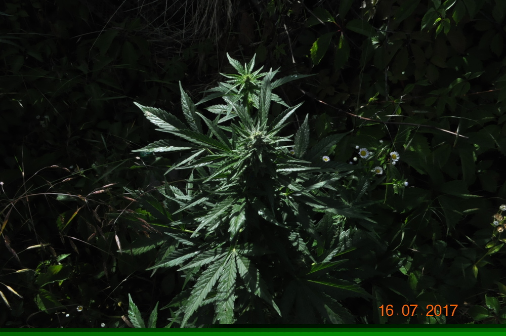 DSC_0014.JPG
