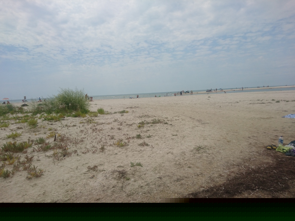 DSC_1497.thumb.JPG.a70724a5bfb3c23b5077d4b89061d0b0.JPG