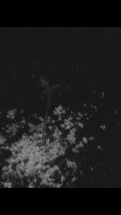 IMG_0246.PNG