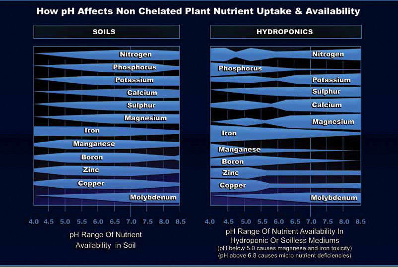 NutrientPHRange.jpg.c4ebc64a7a2df1584d40c7f026b62b07.jpg