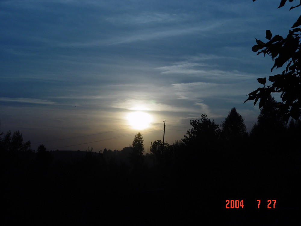 ____________040.JPG