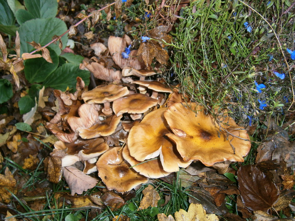 P1010144.JPG