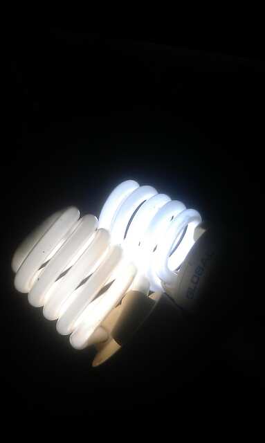 IMAG0017.jpg