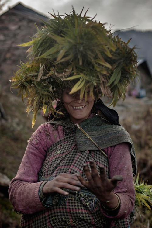 Inside-The-Secret-Weed-Growers-of-Himalayan-Mountains-13-of-17.jpg