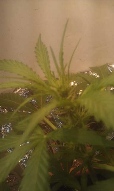 IMAG0033.jpg