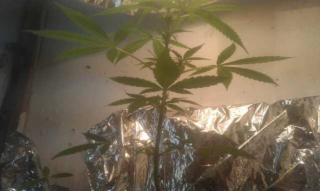 IMAG0034.jpg
