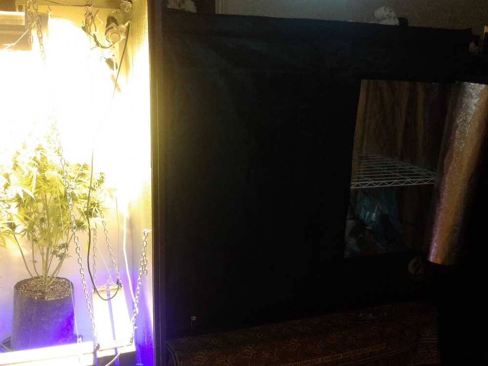 20171217_214815.jpg
