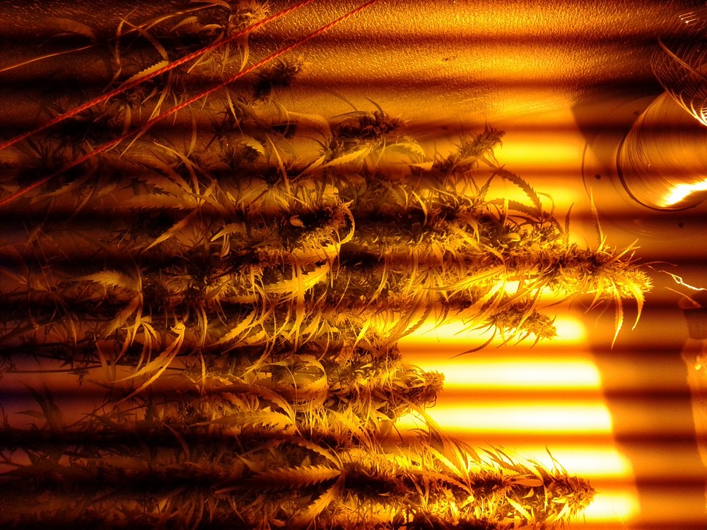 20171220_190811.jpg