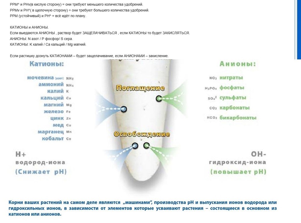 F58BF7C0-B21B-4110-A2AF-A6511D1E428E.thumb.jpeg.4ea612cd488d25e8f875db298d33f18b.jpeg