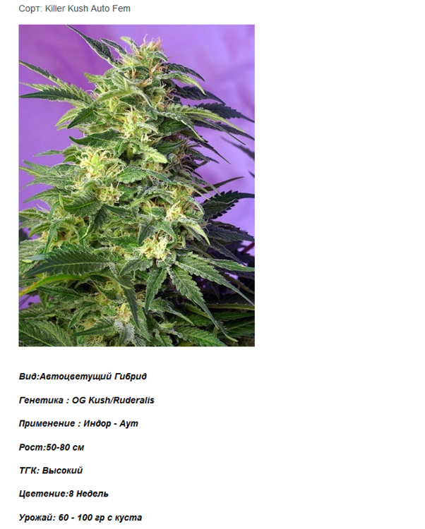 Screenshot-2018-1-5 Killer Kush Auto Fem от брата kriss Hydroponics Kit.png