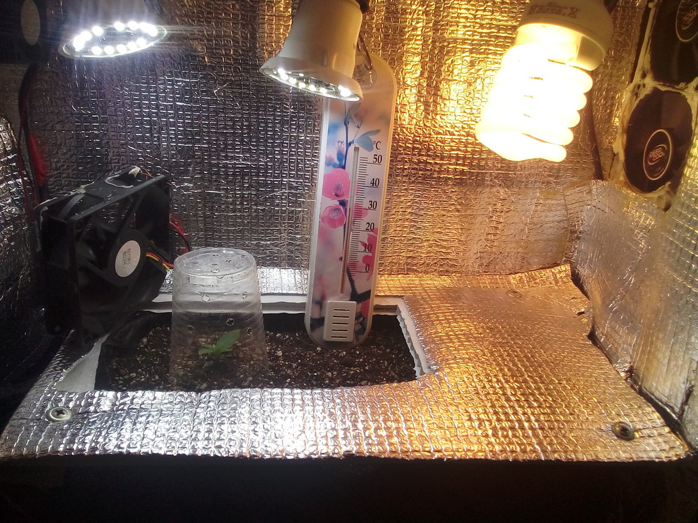 2018-01-16 16.59.38.jpg