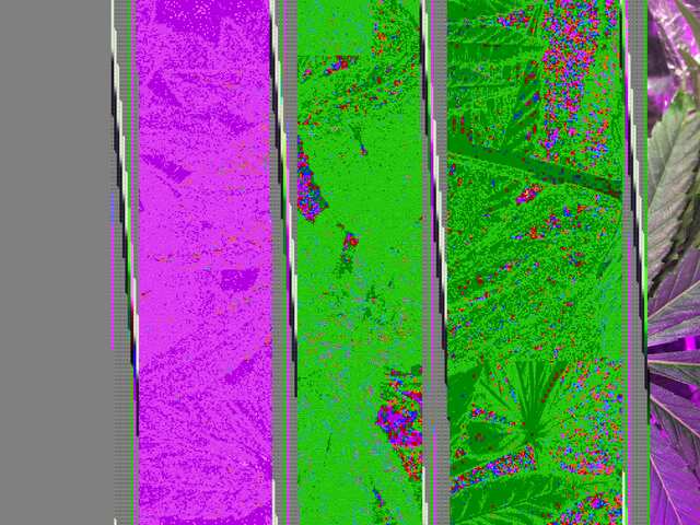 2BBD4772-A0F6-4D89-BFDA-F998195912B2.jpeg