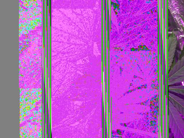 4123C0A6-F869-4FB0-921E-FD3E9D81818E.jpeg