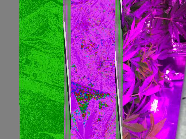 CBC0A9D9-5EEF-4883-9504-045BD60F8D62.jpeg