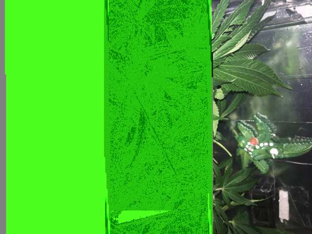 E01A1A52-82F2-4787-9C85-7EB4D05CF912.jpeg