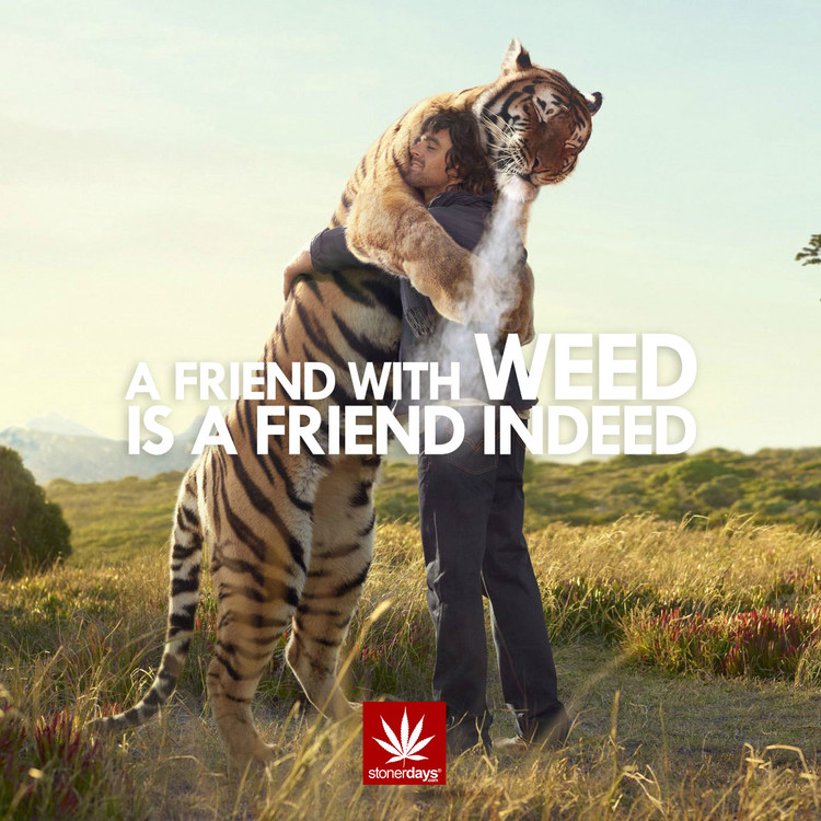 FRIEND-WITH-WEED.jpg