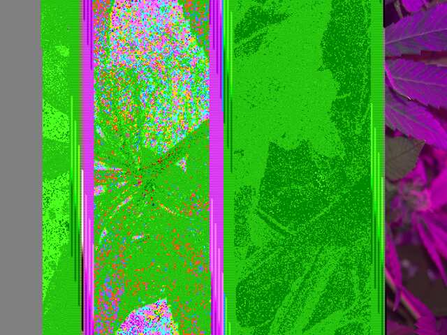 19694AD6-14F0-49AE-B9F6-882551999F32.jpeg