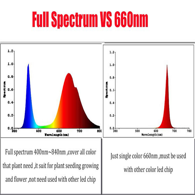 10-3-LED-380-840nm-1-6-10x3w-600ma.jpg