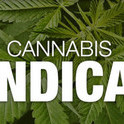 indica_seeds