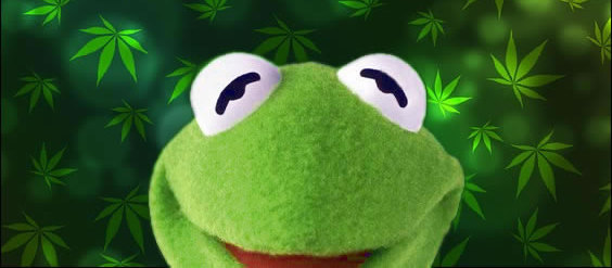 kermit-stoner-easier-green-weedmemes.jpg.a704e528699dc3b917d6fd6e2f0f8f2f.jpg