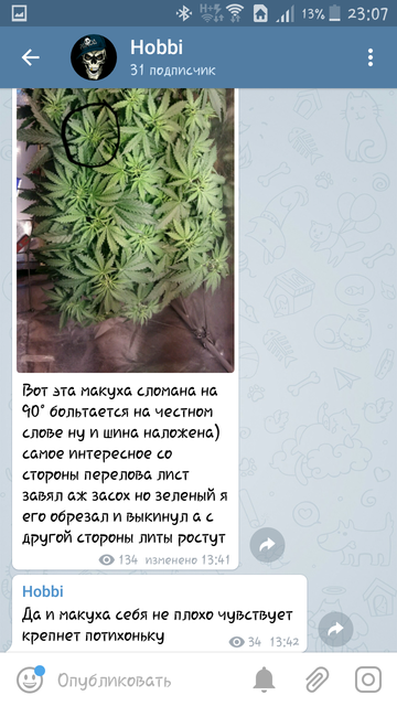 Screenshot_2018-04-04-23-07-55.png