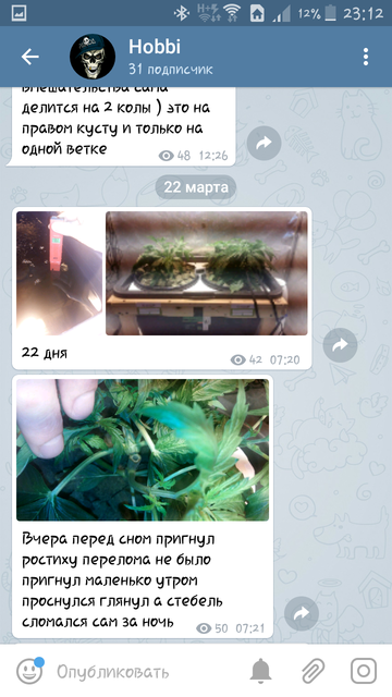 Screenshot_2018-04-04-23-12-01.png