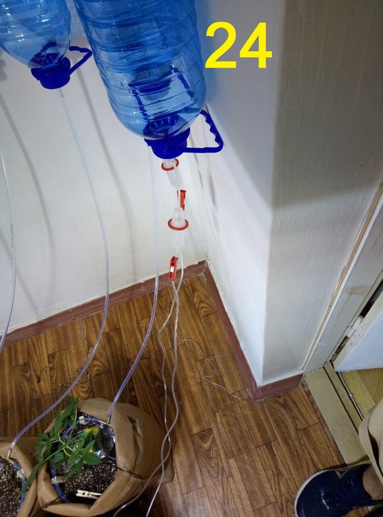 24.05 drops system test.jpg