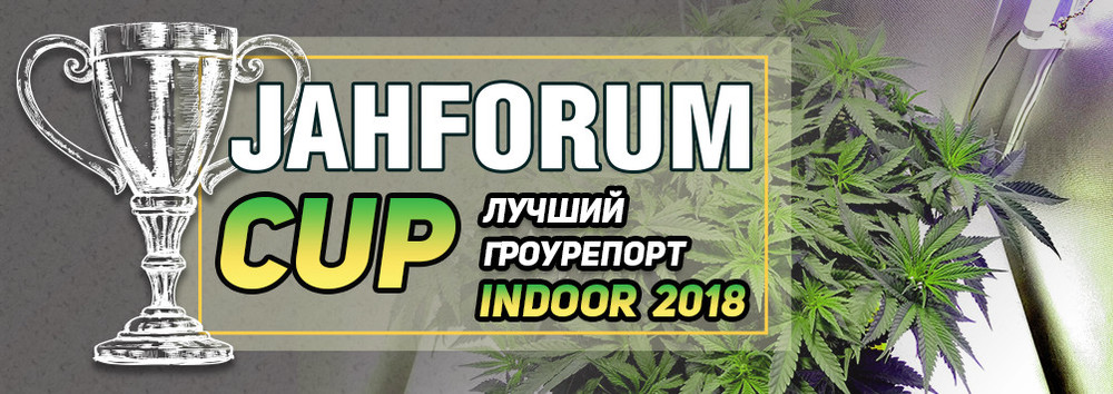 1-Лучший Гроурепорт Indoor 2018-1004x356 (1).jpg