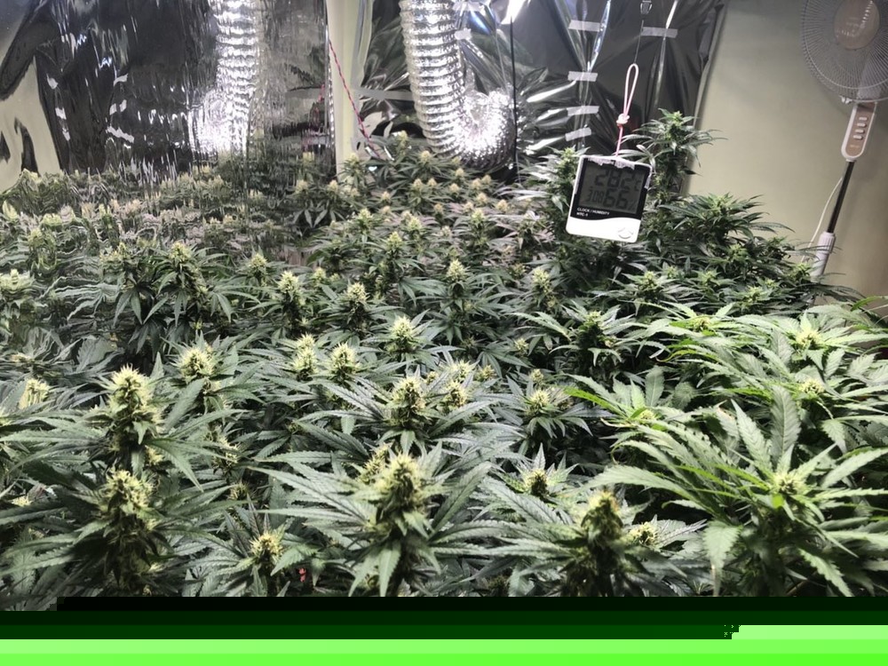 2018-05-20 12.04.23.jpg