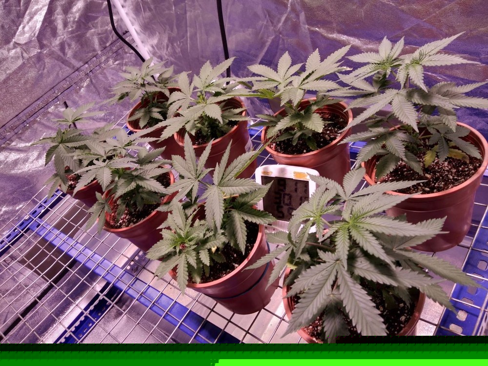 2018-05-06 16.34.11.jpg