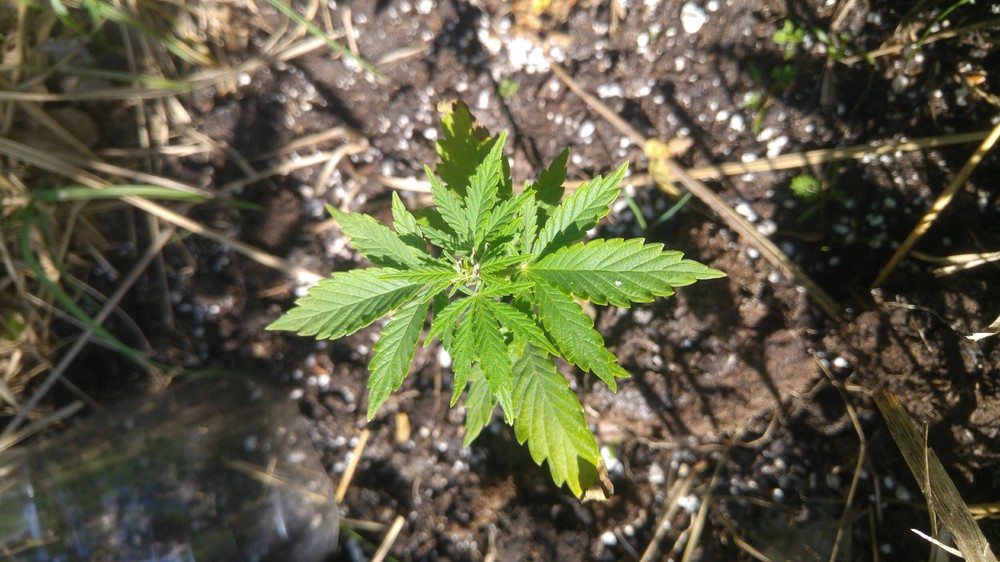 20180527_165518.jpg