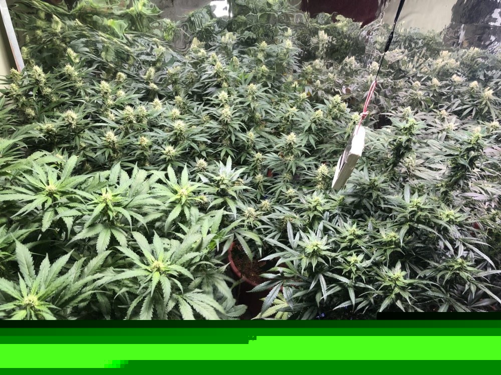 2018-05-20 12.04.37.jpg