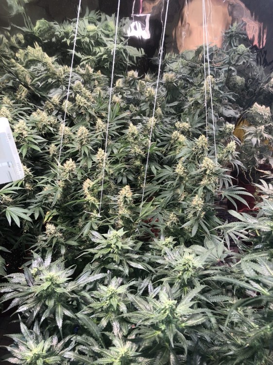 2018-05-28 19.28.00.jpg