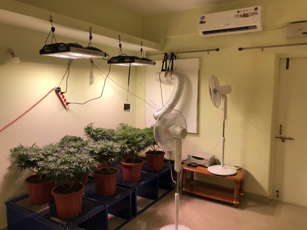 2018-05-06 17.21.30.jpg