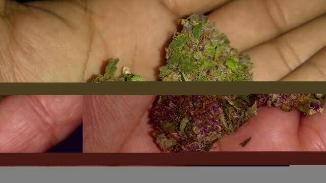 Avto Purpul Hap