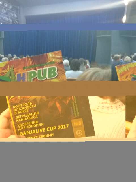 Jahpub 8