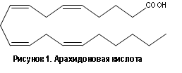 444.png.dc7c1949882d35af7cdea8efbd36d7d7.png
